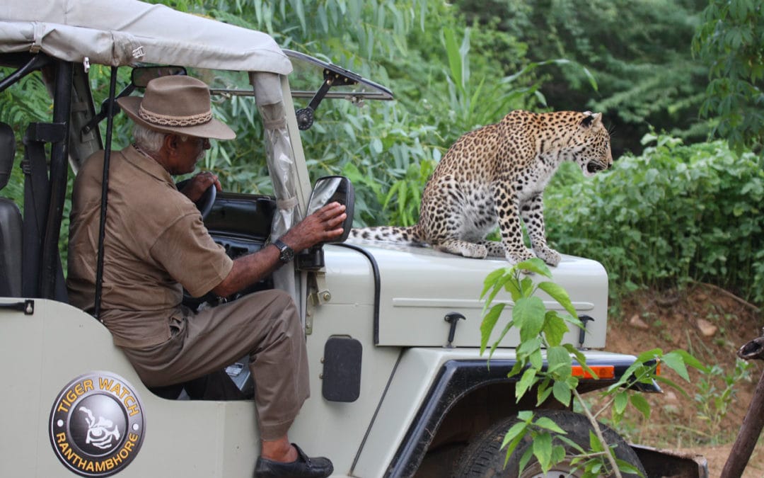 fateh singh rathore in jeep