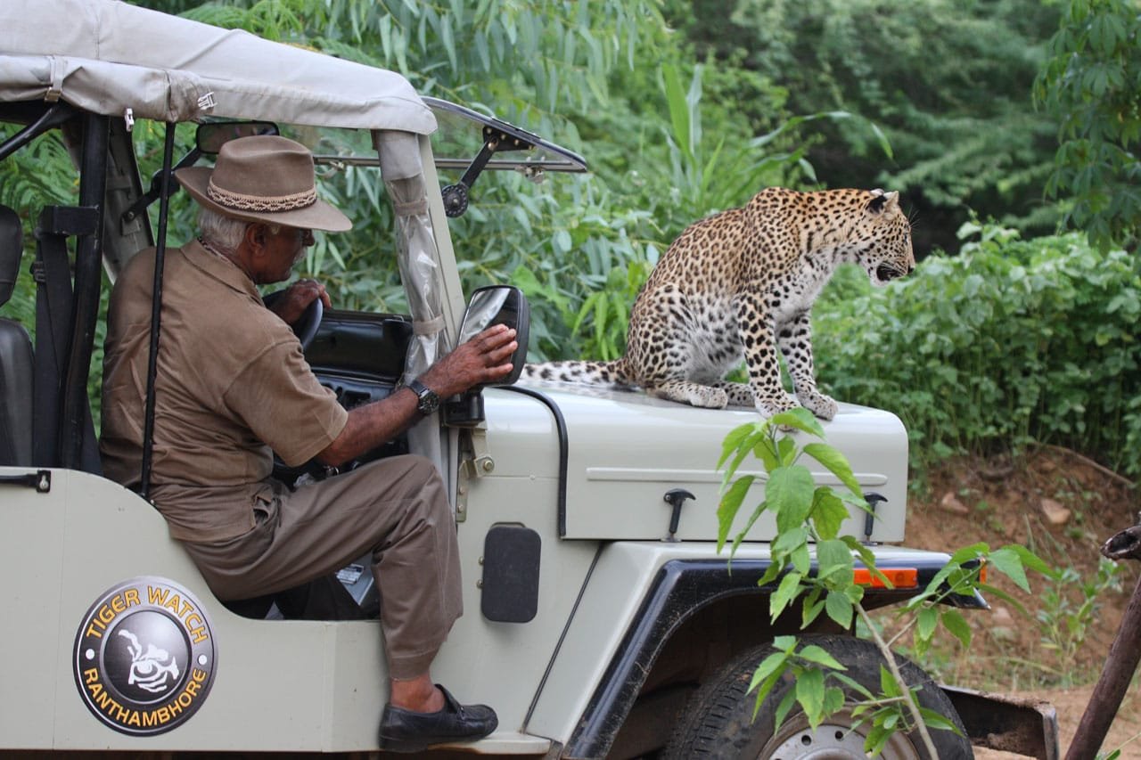 Fateh Singh Rathore: A Human Tiger