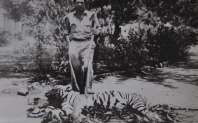 Kailash Sankhala:TIGER! The Story Of The Indian Tiger
