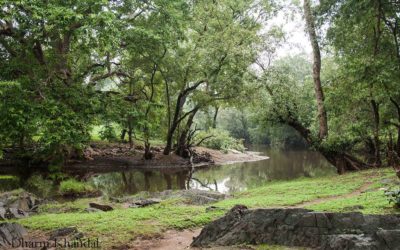 सीतामाता वन्यजीव अभयारण्य – राजस्थान के विशिष्ट वन्यजीवों का पवित्र उपवन