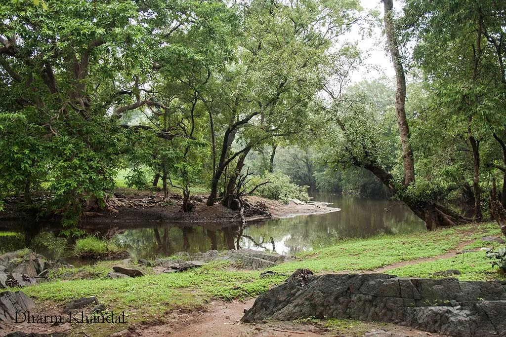 सीतामाता वन्यजीव अभयारण्य – राजस्थान के विशिष्ट वन्यजीवों का पवित्र उपवन