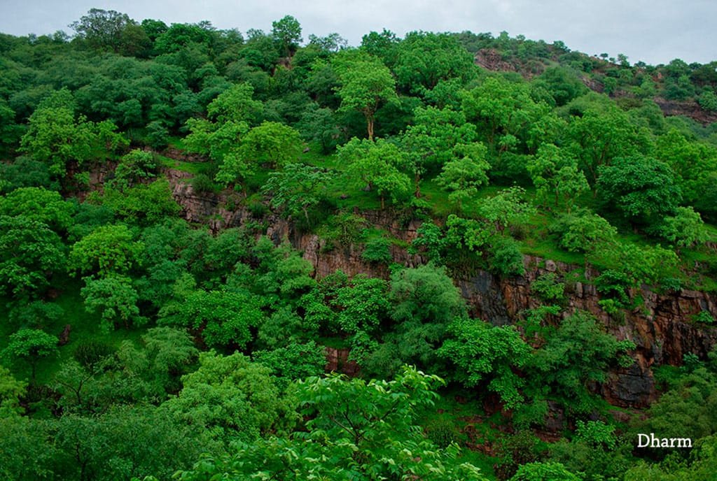जनता जैव विविधता रजिस्टर