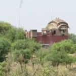 रामगढ़ विषधारी टाइगर रिजर्व में प्रोसोपिस जूलिफ्लोरा का उन्मूलन