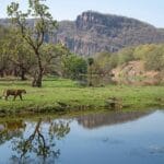 राजस्थान के संरक्षित क्षेत्र