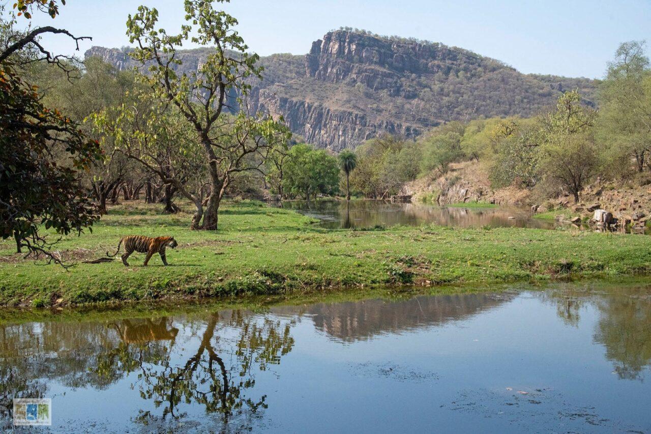 राजस्थान के संरक्षित क्षेत्र