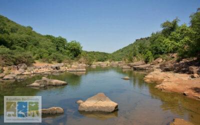 कैलादेवी वन्यजीव अभयारण्य कितने करोड़ों की सेवाएं देता है ?