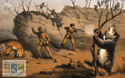 Poisoning: A Centuries Old Threat to Tigers