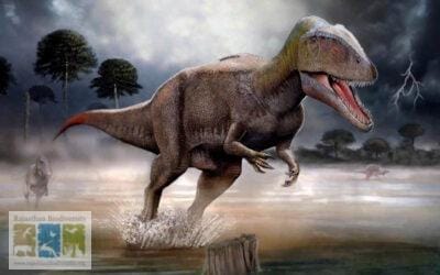 The Discovery & Possibilities of Dinosaur Remains in Rajasthan