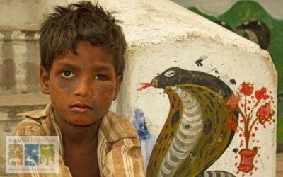 राजस्थान में सर्पदंश से जुड़े मुद्दे और मुश्किलें