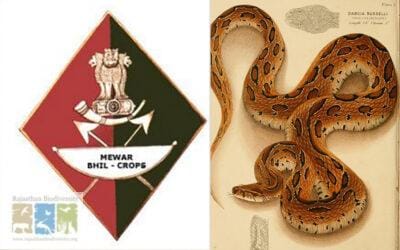 The Mewar Bhil Corps & Antiquated Treatments for Snakebites
