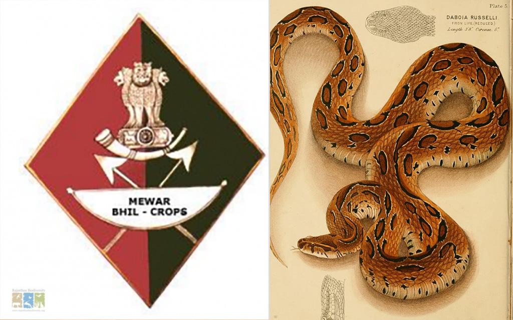 The Mewar Bhil Corps & Antiquated Treatments for Snakebites