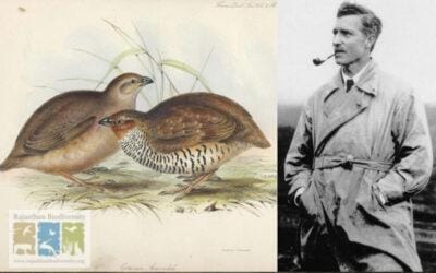 Of Quails and Controversies