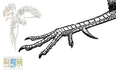 The Hunter becomes the Hunted:The Tale of a ‘Police Officer’s Partridge’