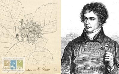 Rajasthan’s First Modern Botanical Explorer