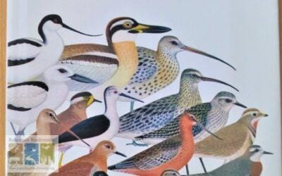 वेडर्स ऑफ द इंडियन सबकॉन्टीनैन्ट: भारतीय उपमहाद्वीप के परिप्रक्ष में एक बेहतरीन सन्दर्भ ग्रन्थ