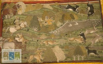 राजस्थान के अंतिम जंगली चीता की कहानी