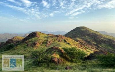 मरुस्थल से घिरे छप्पन्न के पहाड़ : Siwana Hills