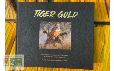 Tiger Gold: A Brand New Book on the Tigers of Ranthambhore by Mr. Valmik Thapar