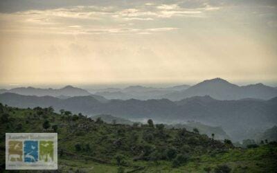 टॉडगढ़ रावली वन्यजीव अभ्यारण्य