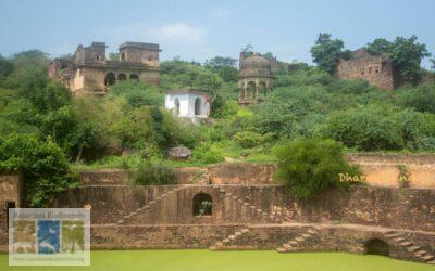 वन दुर्ग