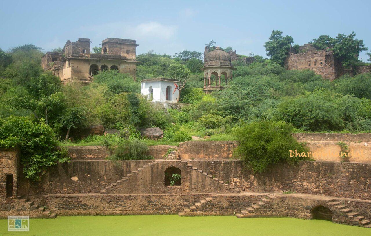 वन दुर्ग