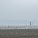 सांभर झील और उसके लोग