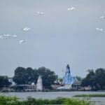 MENAR: An Ordinary Village Pond to an Important Bird Area Site and Beyond