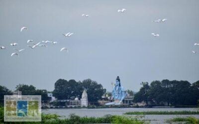 MENAR: An Ordinary Village Pond to an Important Bird Area Site and Beyond