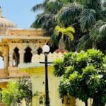 शीध्र व शानदार हरियाली की चाह में मरती देशज जैव विविधता