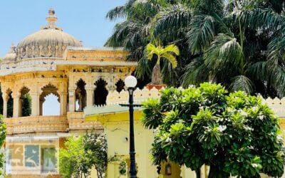 शीध्र व शानदार हरियाली की चाह में मरती देशज जैव विविधता