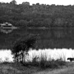 Ranthambhore: A Journey Through Historical Names