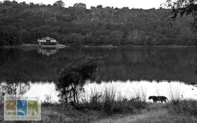 Ranthambhore: A Journey Through Historical Names