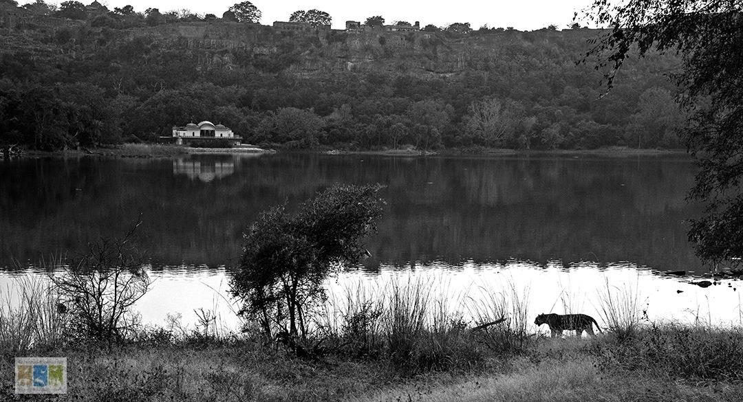 Ranthambhore: A Journey Through Historical Names