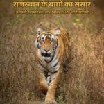 पुस्तक समीक्षा: राजस्थान के बाघों का संसार