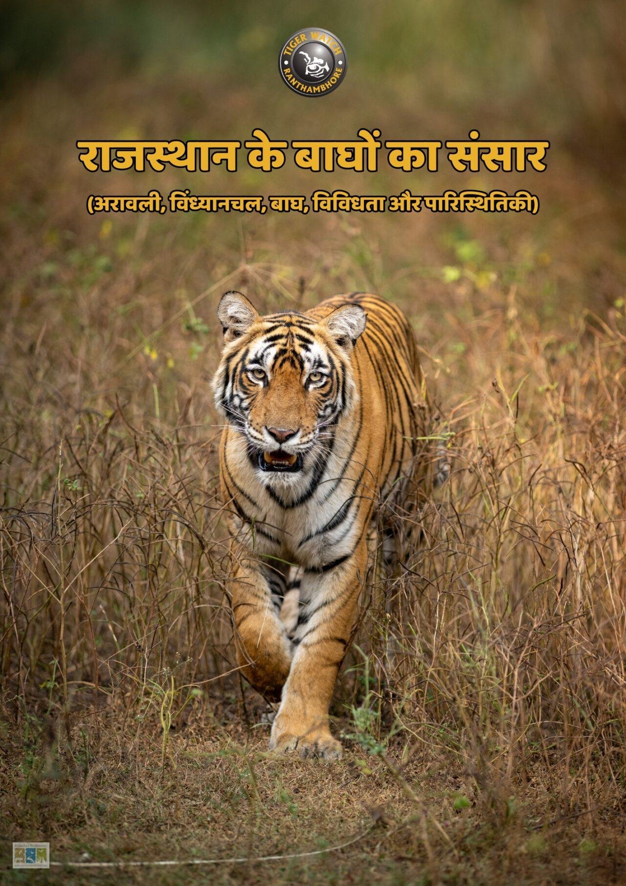 पुस्तक समीक्षा: राजस्थान के बाघों का संसार