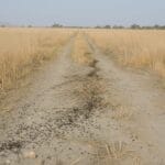 कीडी नगरा