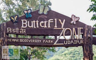 Butterfly Park – Amberi, Udaipur