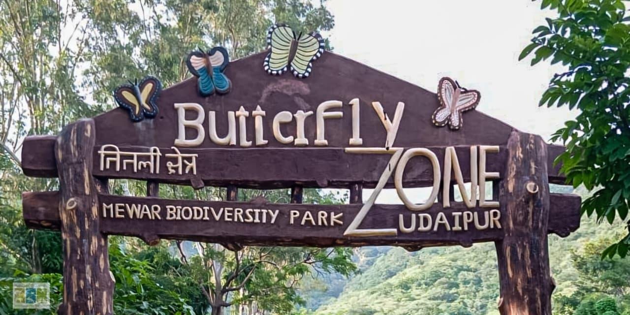 Butterfly Park – Amberi, Udaipur