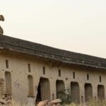 जयपुर में बढ़ते तेंदुआ–मानव संघर्ष के संदर्भ में एक अन्य दृष्टिकोण