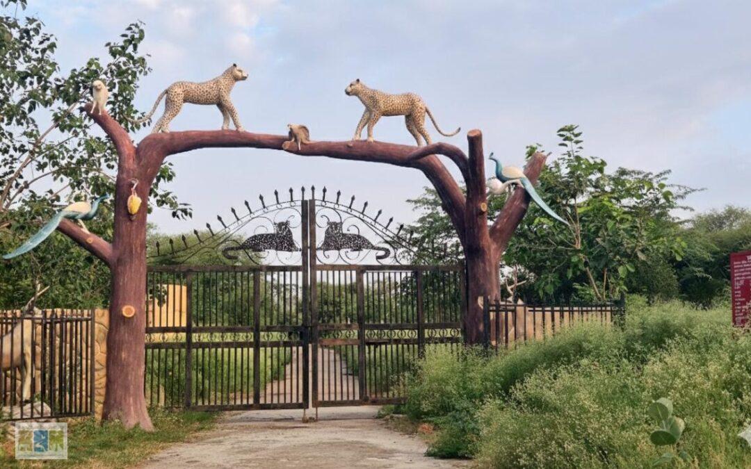 Flora of Bansyal – Khetri – Bagor Conservation Reserve, Jhunjhunu District, Rajsathan