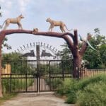 Flora of Bansyal – Khetri – Bagor Conservation Reserve, Jhunjhunu District, Rajsathan