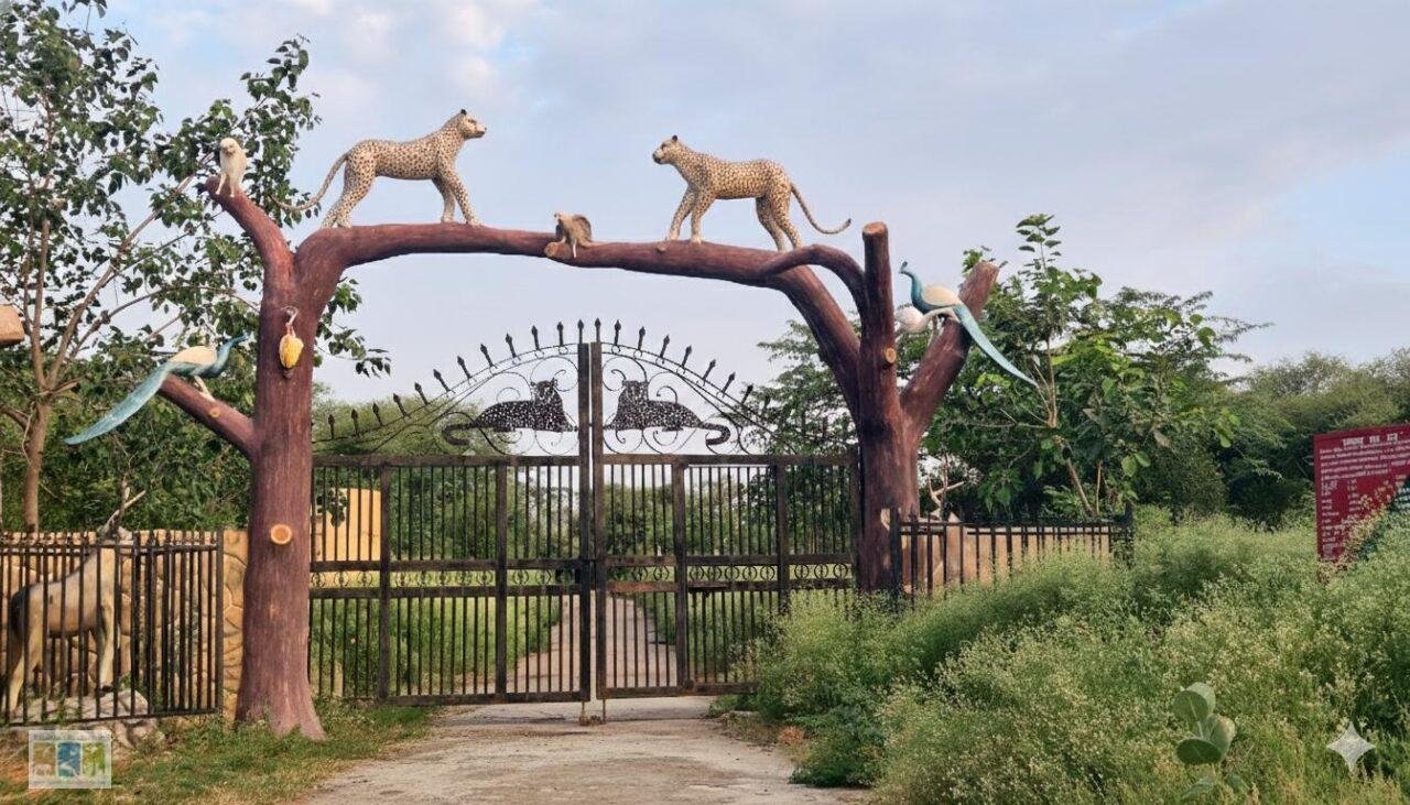 Flora of Bansyal – Khetri – Bagor Conservation Reserve, Jhunjhunu District, Rajsathan
