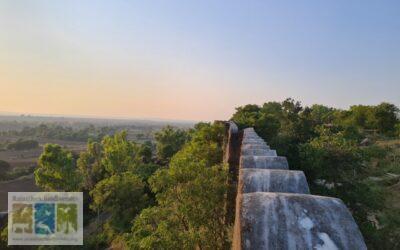 राजस्थान के महलों एवं दुर्गों के वृक्ष