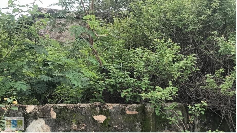 बकराशाला की चारदीवारी और भीतरी कक्ष का क्लोजअप दृश्य