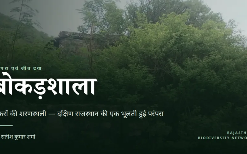 बोकड़शाला