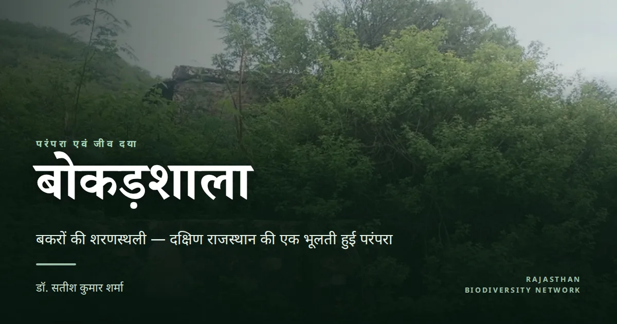 बोकड़शाला