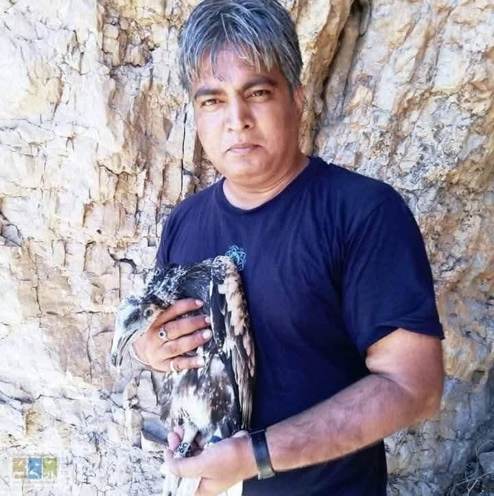 चट्टान के पास खड़ा एक व्यक्ति, गोद में एक बड़ा पक्षी शावक