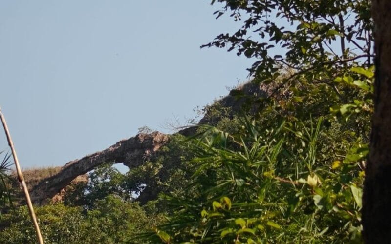 अरावली पर्वतमाला एवं तोरणा