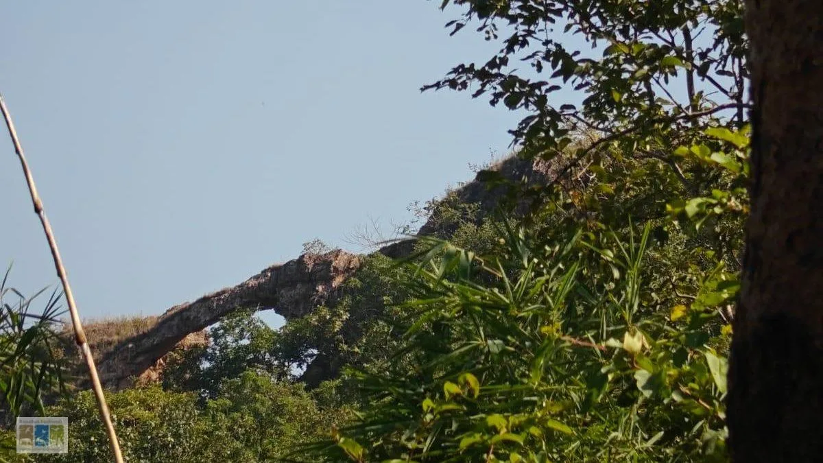 अरावली पर्वतमाला एवं तोरणा
